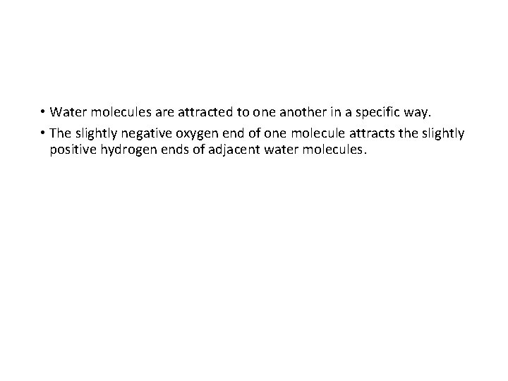  • Water molecules are attracted to one another in a specific way. •