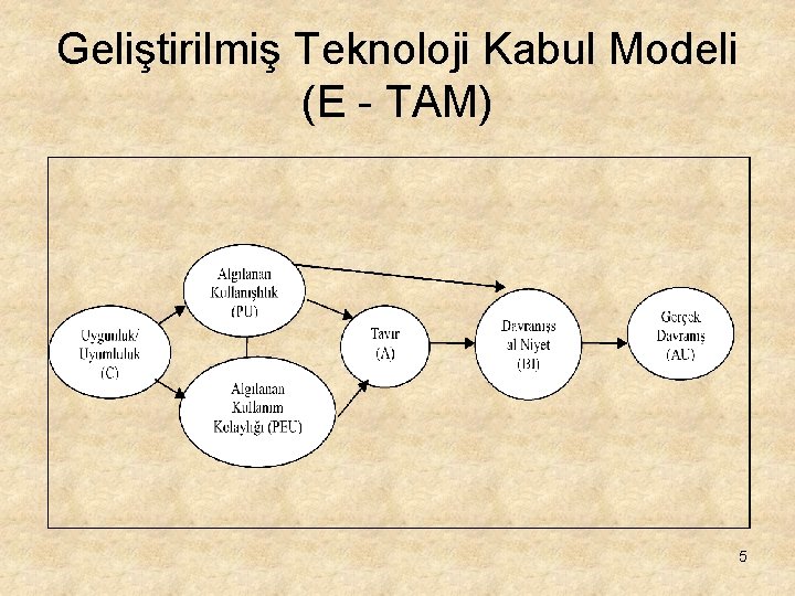 Geliştirilmiş Teknoloji Kabul Modeli (E - TAM) 5 Geliştirilmiş Teknoloji Kabul Modeli (E - TAM) 5