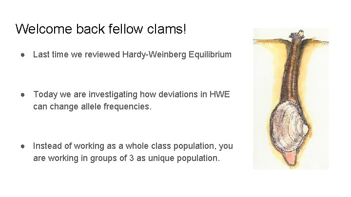 Welcome back fellow clams! ● Last time we reviewed Hardy-Weinberg Equilibrium ● Today we Welcome back fellow clams! ● Last time we reviewed Hardy-Weinberg Equilibrium ● Today we