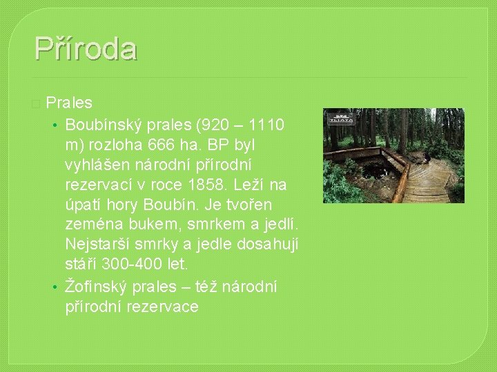 Příroda � Prales • Boubínský prales (920 – 1110 m) rozloha 666 ha. BP Příroda � Prales • Boubínský prales (920 – 1110 m) rozloha 666 ha. BP