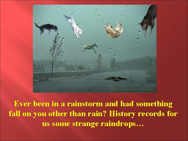 Ever been in a rainstorm and had something fall on you other than rain? Ever been in a rainstorm and had something fall on you other than rain?