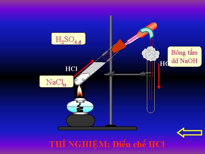 H 2 SO 4 đ HCl Bông tâ m HCldd Na. OH Na. Cltt