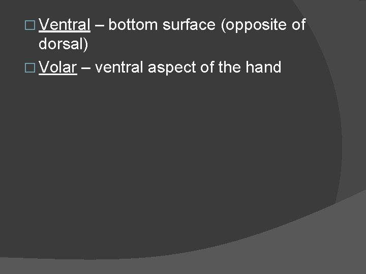 � Ventral – bottom surface (opposite of dorsal) � Volar – ventral aspect of