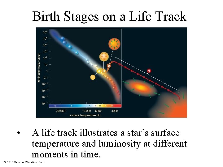 Birth Stages on a Life Track • A life track illustrates a star’s surface