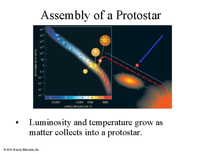 Assembly of a Protostar • Luminosity and temperature grow as matter collects into a