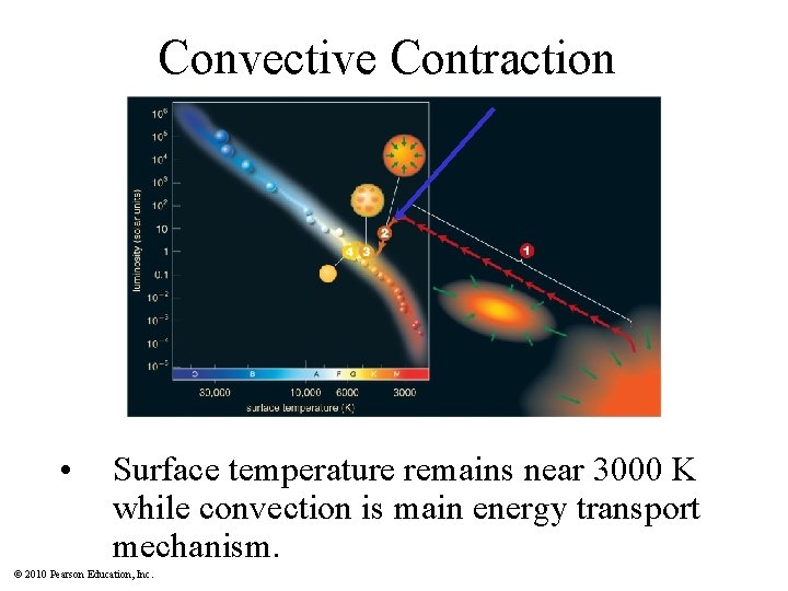 Convective Contraction • Surface temperature remains near 3000 K while convection is main energy