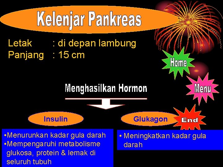 Letak : di depan lambung Panjang : 15 cm Insulin • Menurunkan kadar gula