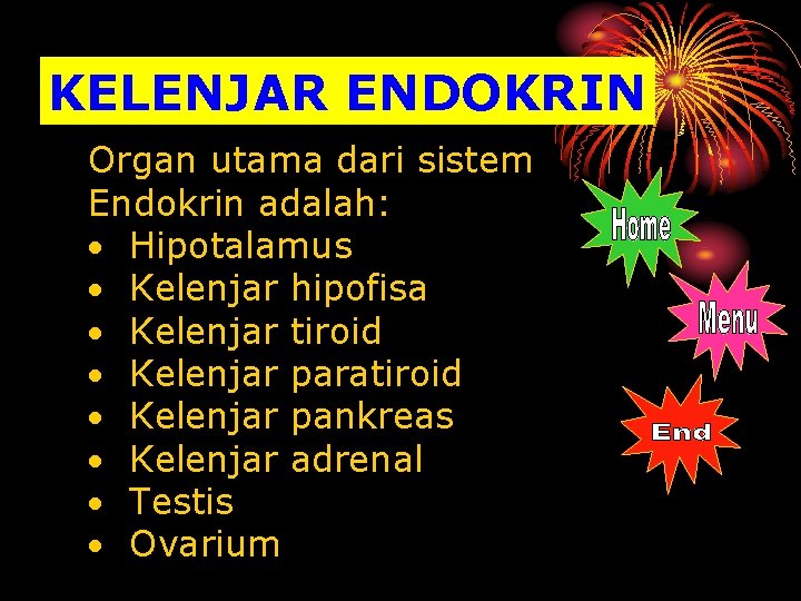 KELENJAR ENDOKRIN Organ utama dari sistem Endokrin adalah: Hipotalamus Kelenjar hipofisa Kelenjar tiroid Kelenjar