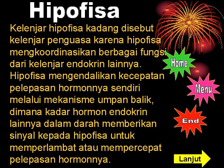 Kelenjar hipofisa kadang disebut kelenjar penguasa karena hipofisa mengkoordinasikan berbagai fungsi dari kelenjar endokrin