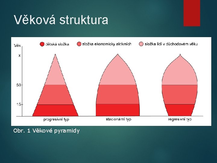 Věková struktura Obr. 1 Věkové pyramidy 