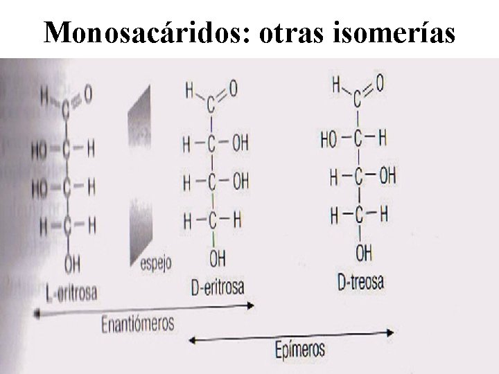 Monosacáridos: otras isomerías 