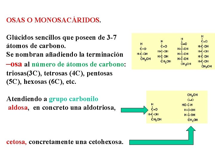 OSAS O MONOSACÁRIDOS. Glúcidos sencillos que poseen de 3 -7 átomos de carbono. Se