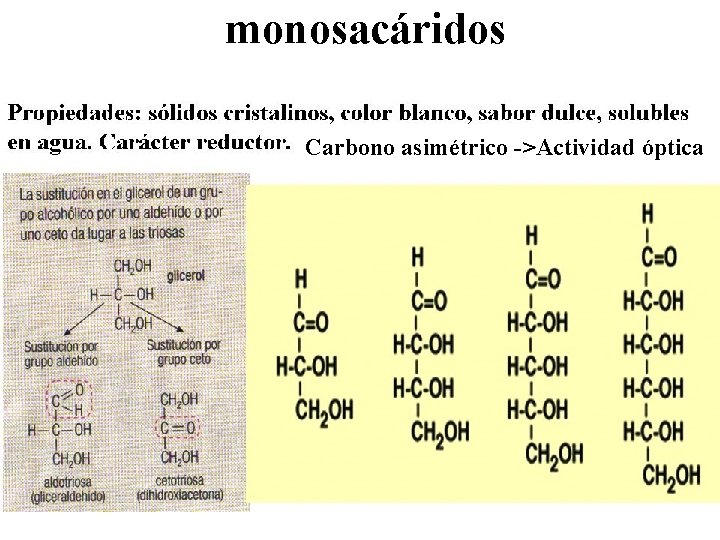 monosacáridos Carbono asimétrico ->Actividad óptica 