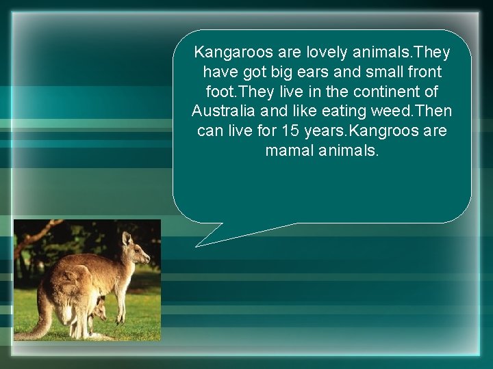 Kangaroos are lovely animals. They have got big ears and small front foot. They Kangaroos are lovely animals. They have got big ears and small front foot. They