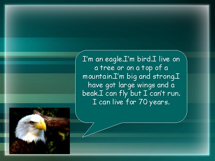 I’m an eagle. I’m bird. I live on a tree or on a top I’m an eagle. I’m bird. I live on a tree or on a top