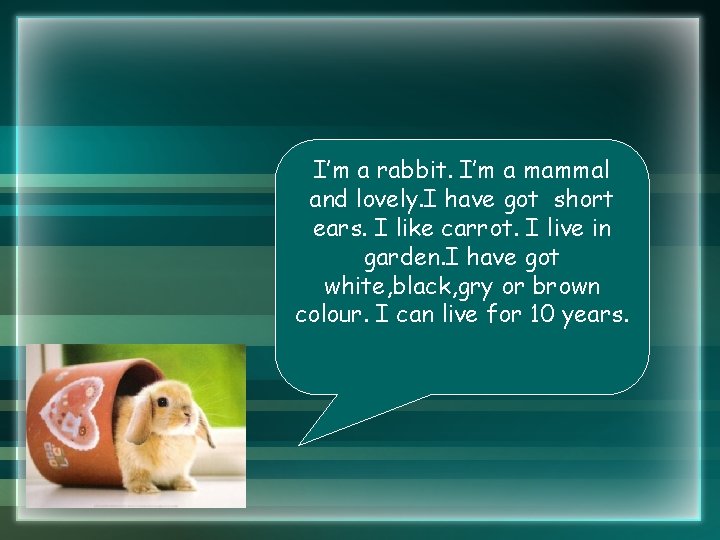 I’m a rabbit. I’m a mammal and lovely. I have got short ears. I I’m a rabbit. I’m a mammal and lovely. I have got short ears. I