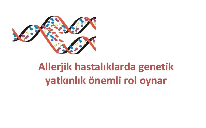 Allerjik hastalıklarda genetik yatkınlık önemli rol oynar 