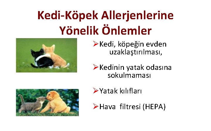 Kedi-Köpek Allerjenlerine Yönelik Önlemler ØKedi, köpeğin evden uzaklaştırılması, ØKedinin yatak odasına sokulmaması ØYatak kılıfları