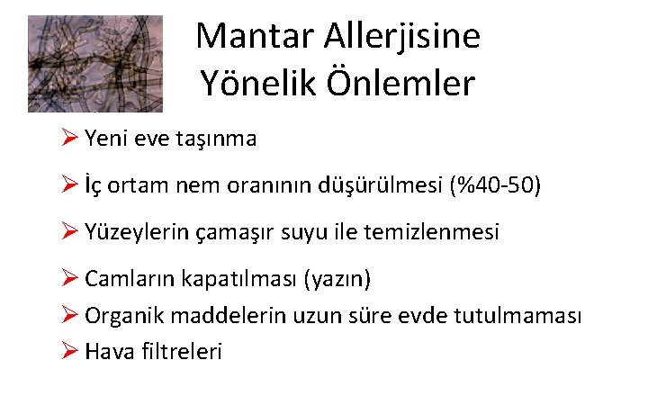 Mantar Allerjisine Yönelik Önlemler Ø Yeni eve taşınma Ø İç ortam nem oranının düşürülmesi