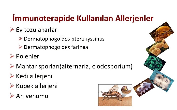 İmmunoterapide Kullanılan Allerjenler Ø Ev tozu akarları Ø Dermatophogoides pteronyssinus Ø Dermatophogoides farinea Ø