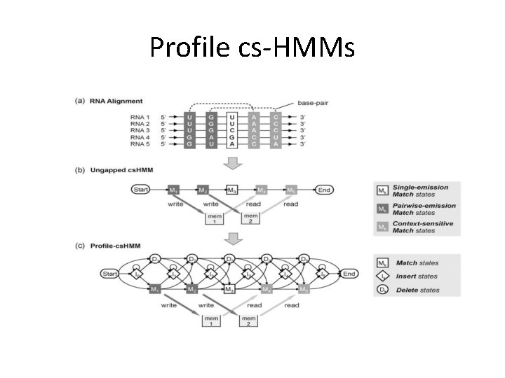Profile cs-HMMs Profile cs-HMMs