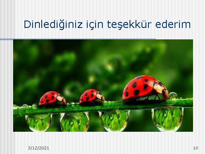 Dinlediğiniz için teşekkür ederim 3/12/2021 10 
