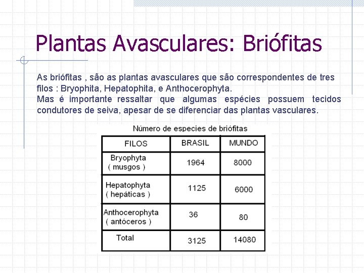 Plantas Avasculares: Briófitas As briófitas , são as plantas avasculares que são correspondentes de