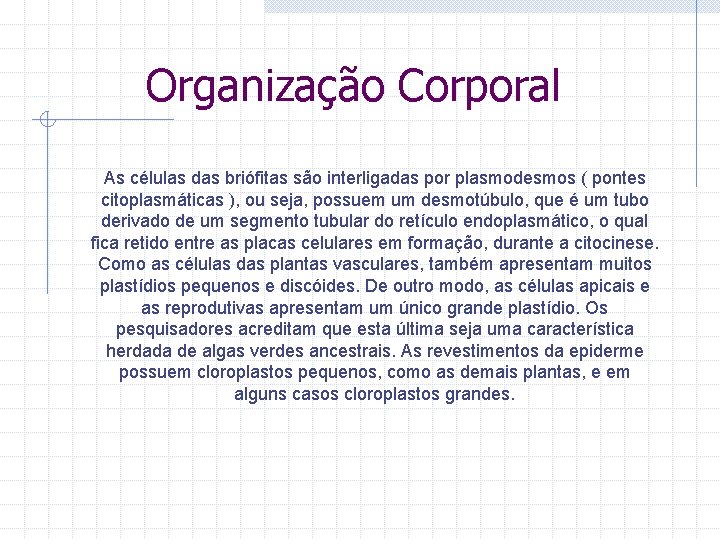 Organização Corporal As células das briófitas são interligadas por plasmodesmos ( pontes citoplasmáticas ),