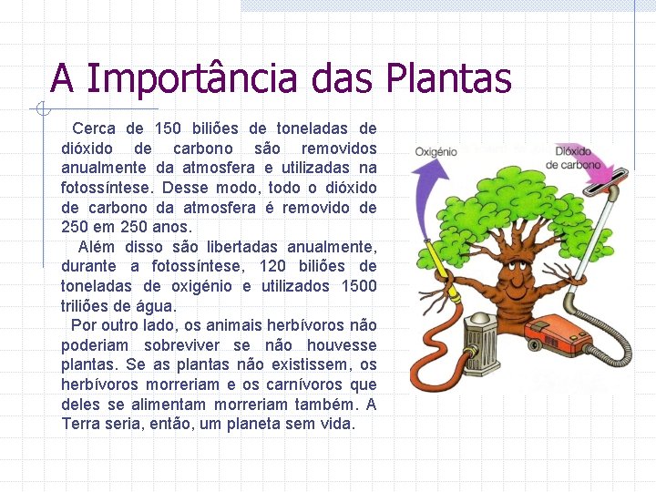 A Importância das Plantas Cerca de 150 biliões de toneladas de dióxido de carbono