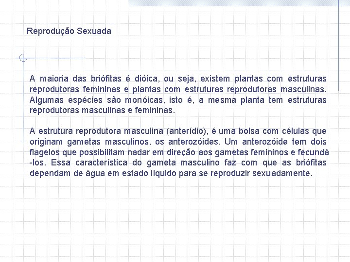 Reprodução Sexuada A maioria das briófitas é dióica, ou seja, existem plantas com estruturas