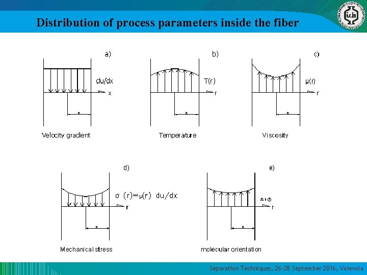 Distribution of process parameters inside the fiber Separation Techniques, 26 -28 September 2016, Valencia Distribution of process parameters inside the fiber Separation Techniques, 26 -28 September 2016, Valencia