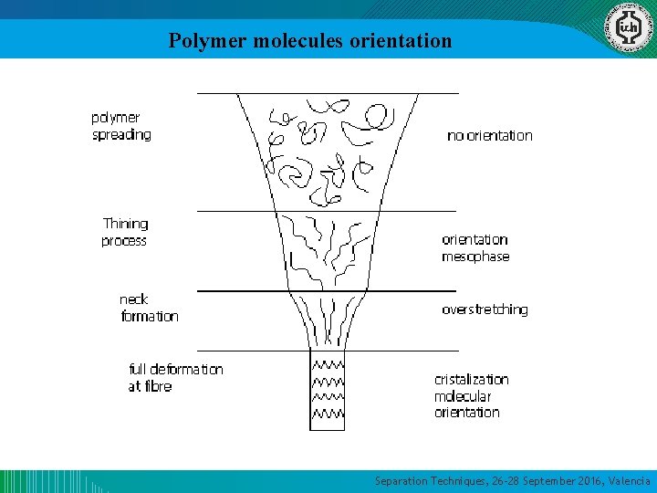 Polymer molecules orientation Separation Techniques, 26 -28 September 2016, Valencia Polymer molecules orientation Separation Techniques, 26 -28 September 2016, Valencia