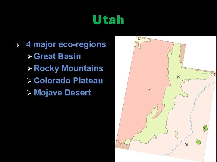 Utah Ø 4 major eco-regions Ø Great Basin Ø Rocky Mountains Ø Colorado Plateau