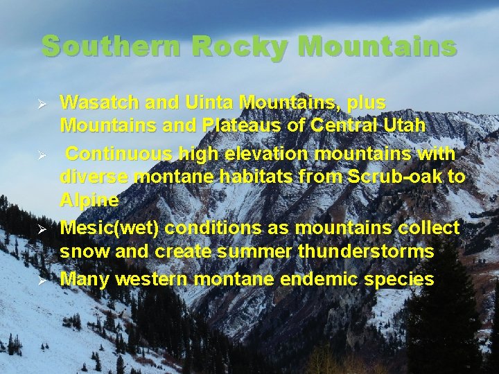 Southern Rocky Mountains Ø Ø Wasatch and Uinta Mountains, plus Mountains and Plateaus of