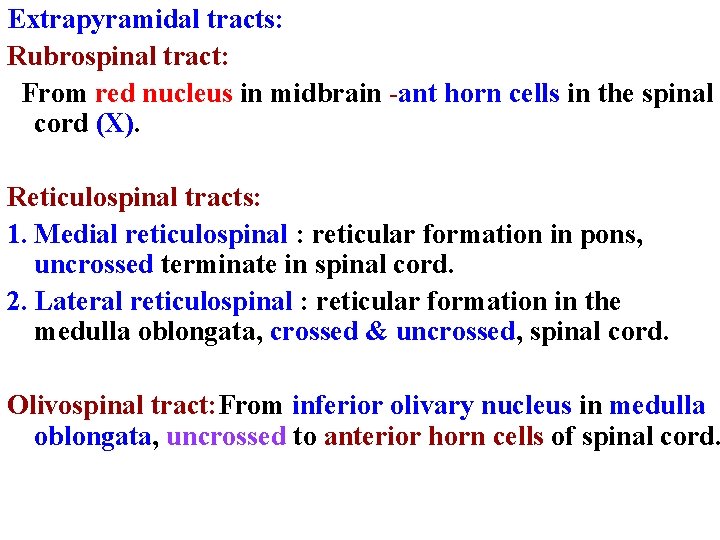 Extrapyramidal tracts: Rubrospinal tract: From red nucleus in midbrain -ant horn cells in the