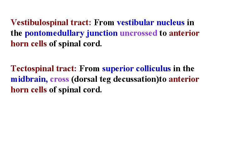 Vestibulospinal tract: From vestibular nucleus in the pontomedullary junction uncrossed to anterior horn cells