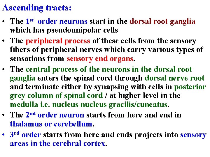 Ascending tracts: • The 1 st order neurons start in the dorsal root ganglia