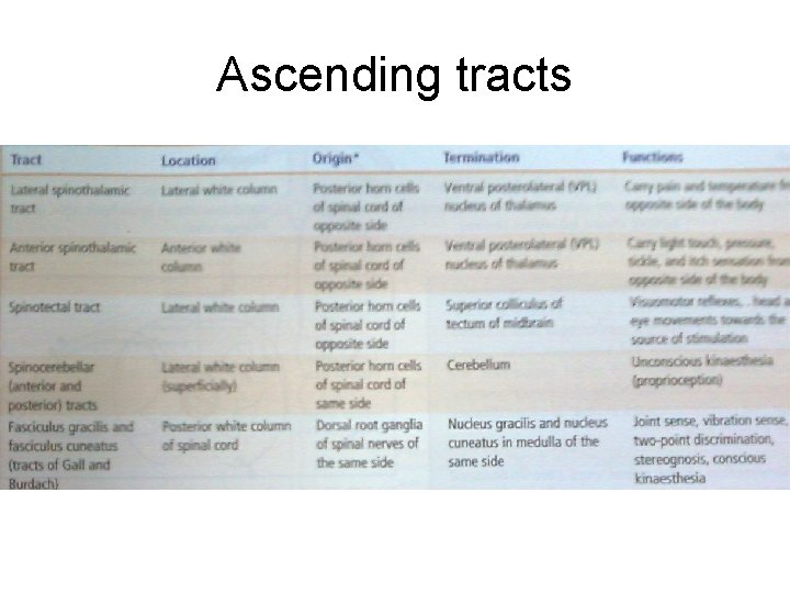 Ascending tracts 