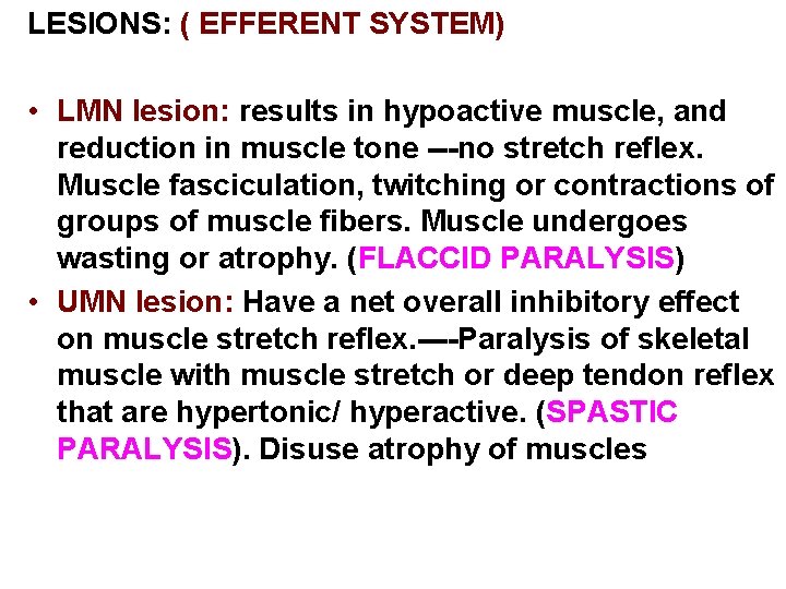 LESIONS: ( EFFERENT SYSTEM) • LMN lesion: results in hypoactive muscle, and reduction in