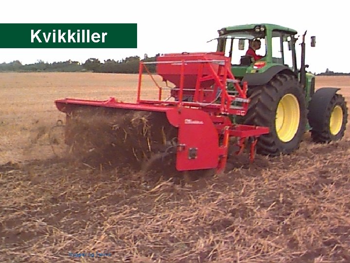Kvikkiller Dansk Landbrugsrådgivning Landscentret | Byggeri og Teknik 