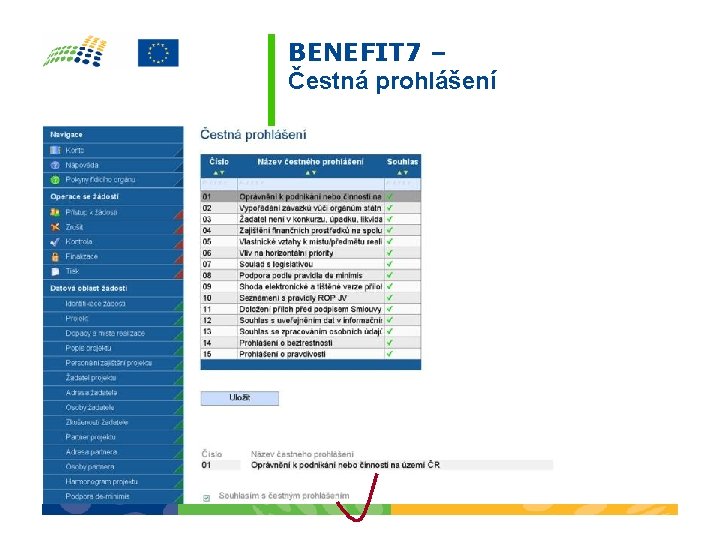 BENEFIT 7 – Čestná prohlášení 