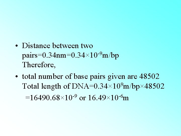  • Distance between two pairs=0. 34 nm=0. 34× 10 -9 m/bp Therefore, •