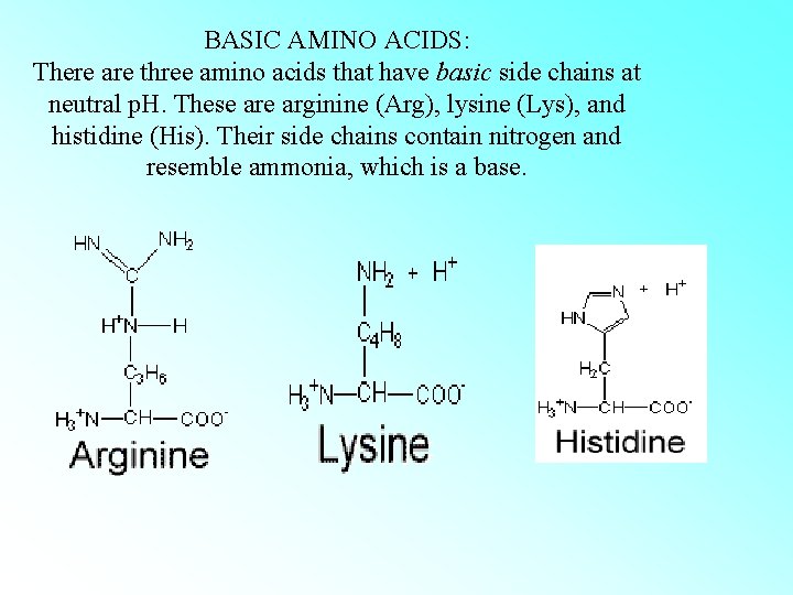 BASIC AMINO ACIDS: There are three amino acids that have basic side chains at BASIC AMINO ACIDS: There are three amino acids that have basic side chains at