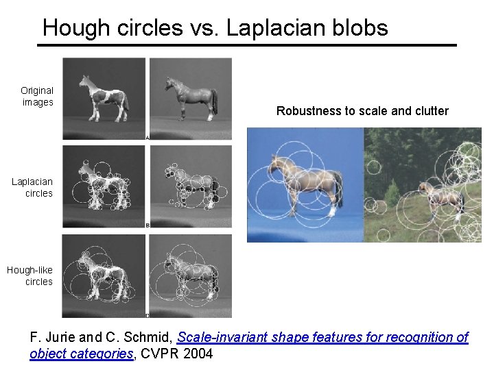 Hough circles vs. Laplacian blobs Original images Robustness to scale and clutter Laplacian circles