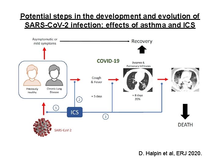 Potential steps in the development and evolution of SARS-Co. V-2 infection; effects of asthma