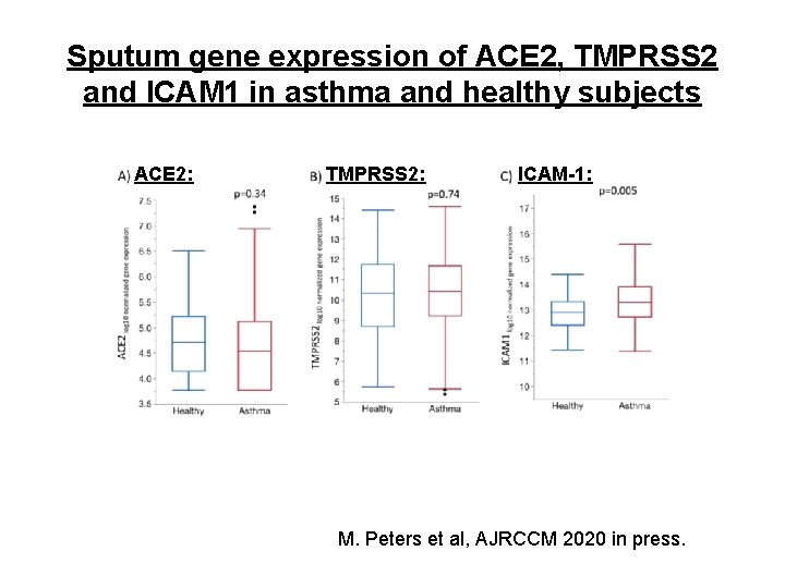 Sputum gene expression of ACE 2, TMPRSS 2 and ICAM 1 in asthma and