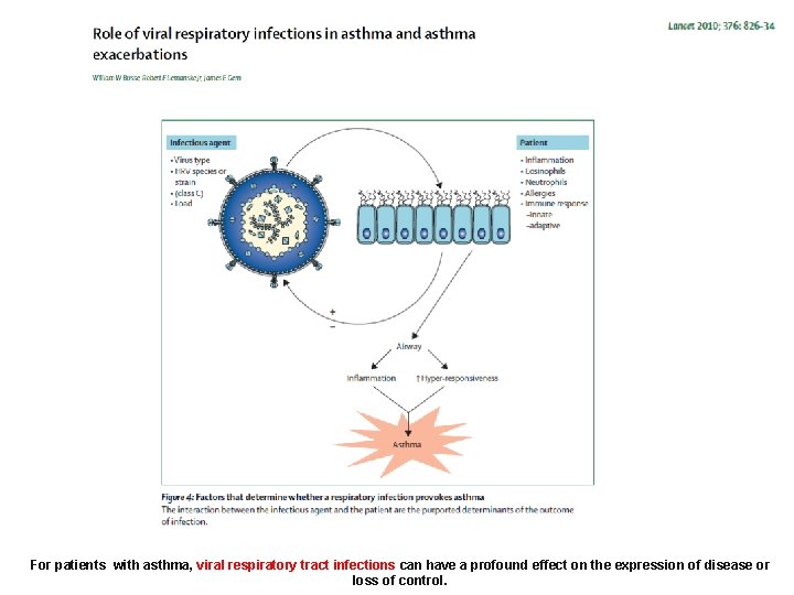 For patients with asthma, viral respiratory tract infections can have a profound effect on