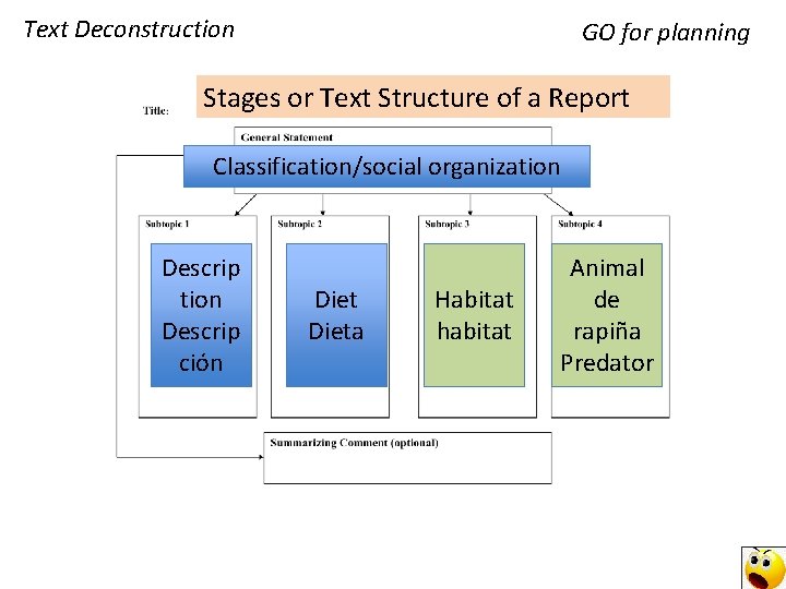 Text Deconstruction GO for planning Stages or Text Structure of a Report Classification/social organization