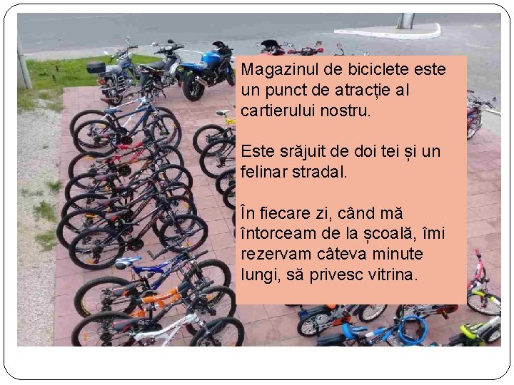 Magazinul de biciclete este un punct de atracție al cartierului nostru. Este srăjuit de