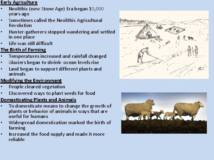 Early Agriculture • Neolithic (new Stone Age) Era began 10, 000 years ago • Early Agriculture • Neolithic (new Stone Age) Era began 10, 000 years ago •